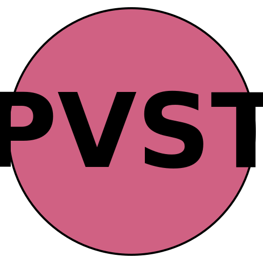 PVS Travel